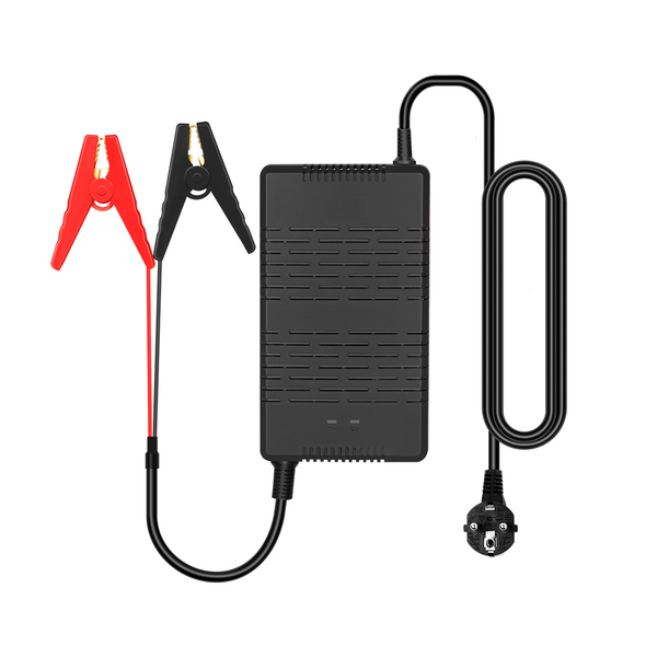 Caricabatterie FOXSUR 12V LiFePO4: Intelligente, Automatico E Universale Per Batterie Al Litio E Acido