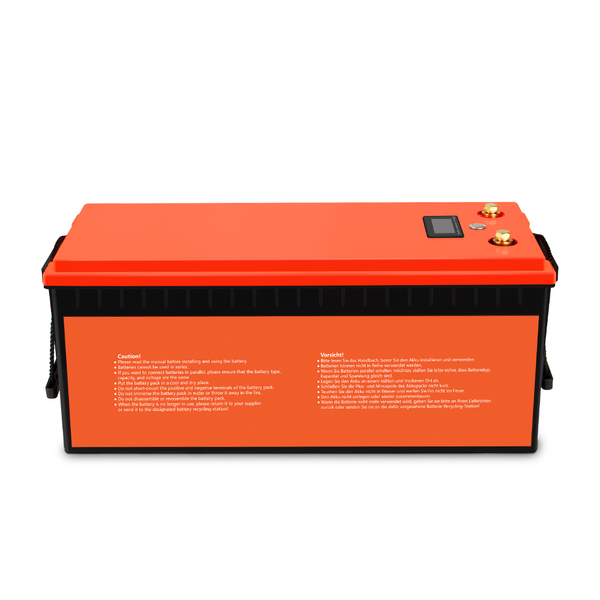 Batteria LiFePO4 24V 100AH per Camper, Nautica, Pannello Solare, Famiglia, Campeggio, Accumulo Fotovoltaico. Con Bluetooth